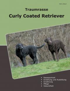 Traumrasse Curly Coated Retriever