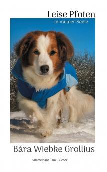 Leise Pfoten in meiner Seele