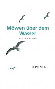 Möwen über dem Wasser