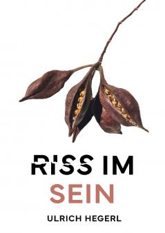 Riss im Sein