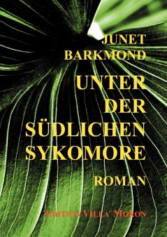 Unter der südlichen Sykomore