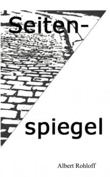 Seitenspiegel