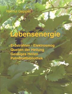 Lebensenergie