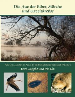 Die Aue der Biber Störche und Urzeitkrebse