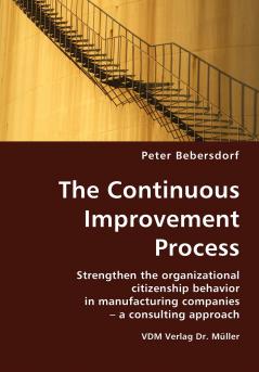 The Continuous Improvement Process