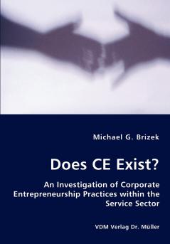 Does CE Exist? - An Investigation of Corporate Entrepreneurship Practices within the Service Sector
