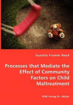 Processes that Mediate the Effect of Community Factors on Child Maltreatment