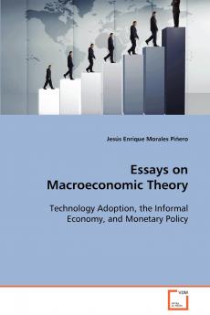 Essays on Macroeconomic Theory