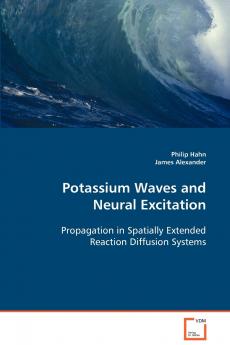 Potassium Waves and Neural Excitation