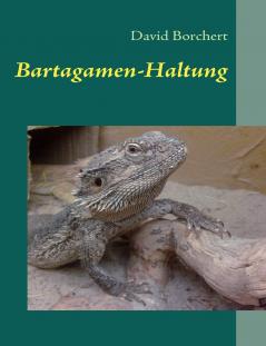 Bartagamen-Haltung