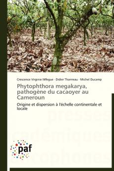 Phytophthora megakarya pathogène du cacaoyer au cameroun