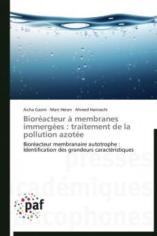 Bioréacteur à membranes immergées