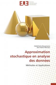 Approximation stochastique en analyse des données