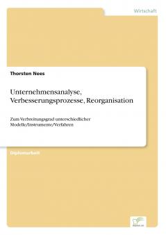 Unternehmensanalyse Verbesserungsprozesse Reorganisation