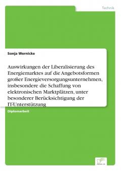 Auswirkungen der Liberalisierung des Energiemarktes auf die Angebotsformen großer Energieversorgungsunternehmen insbesondere die Schaffung von elektronischen Marktplätzen unter besonderer Berücksichtigung der IT-Unterstützung