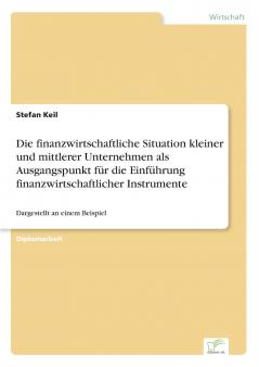 Die finanzwirtschaftliche Situation kleiner und mittlerer Unternehmen als Ausgangspunkt für die Einführung finanzwirtschaftlicher Instrumente