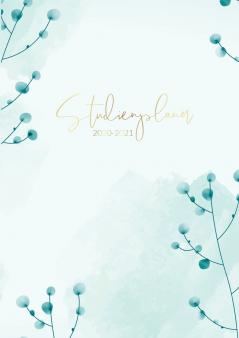 Studienplaner 2020-2021