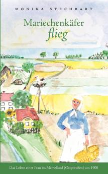 Mariechenkäfer flieg