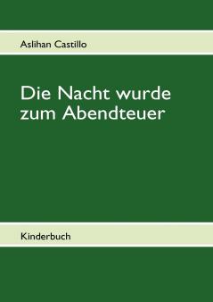 Die Nacht wurde zum Abendteuer