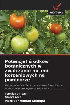 Potencjał środków botanicznych w zwalczaniu nicieni korzeniowych na pomidorze
