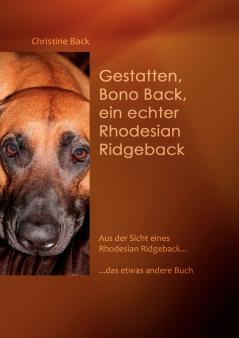 Gestatten Bono Back ein echter Rhodesian Ridgeback