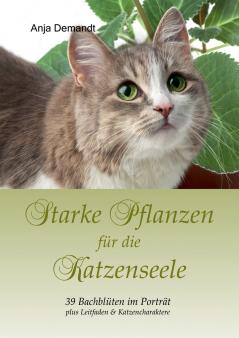 Starke Pflanzen für die Katzenseele