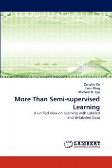 More Than Semi-Supervised Learning