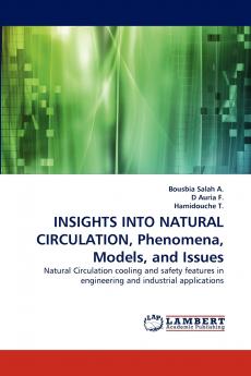 Insights Into Natural Circulation Phenomena Models and Issues