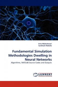 Fundamental Simulation Methodologies Dwelling in Neural Networks