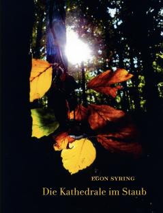 Die Kathedrale im Staub