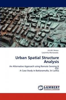 Urban Spatial Structure Analysis