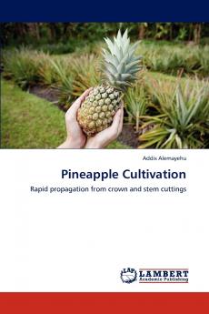 Pineapple Cultivation
