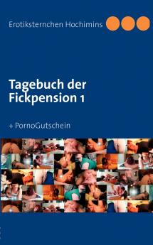 Tagebuch der Fickpension 1