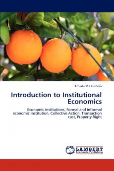 Introduction to Institutional Economics