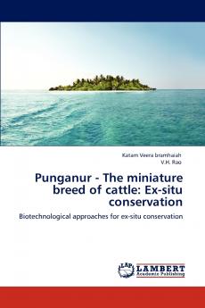 Punganur - The miniature breed of cattle