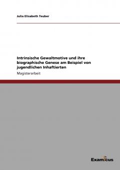 Intrinsische Gewaltmotive und ihre biographische Genese am Beispiel von jugendlichen Inhaftierten