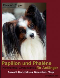 Papillon und Phal��ne (Kontinentaler Zwergspaniel) f��r Anf��nger