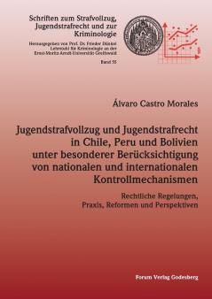 Jugendstrafvollzug und Jugendstrafrecht in Chile Peru und Bolivien unter besonderer Berücksichtigung von nationalen und internationalen Kontrollmechanismen