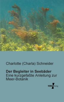 Der Begleiter in Seebäder