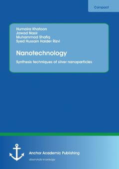 Nanotechnology. Synthesis techniques of silver nanoparticles