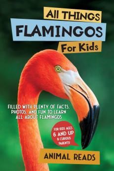 All Things Flamingos For Kids