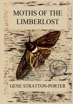 Moths of the Limberlost