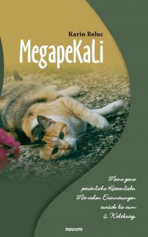 MegapeKaLi