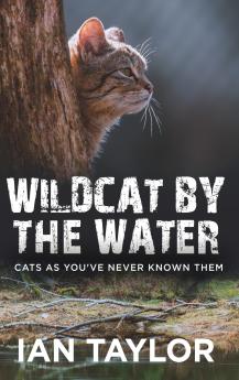 Wildcat By The Water