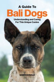 A Guide to Bali Dogs