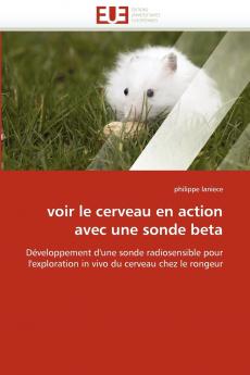 Voir le cerveau en action avec une sonde beta