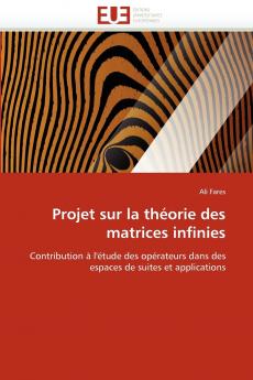 Projet sur la théorie des matrices infinies