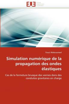 Simulation numérique de la propagation des ondes élastiques