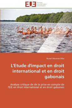 L'etude d'impact en droit international et en droit gabonais