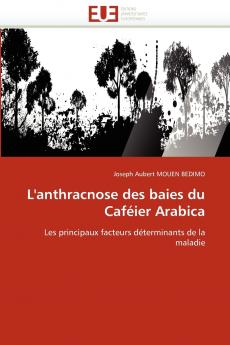 L''anthracnose des baies du caféier arabica